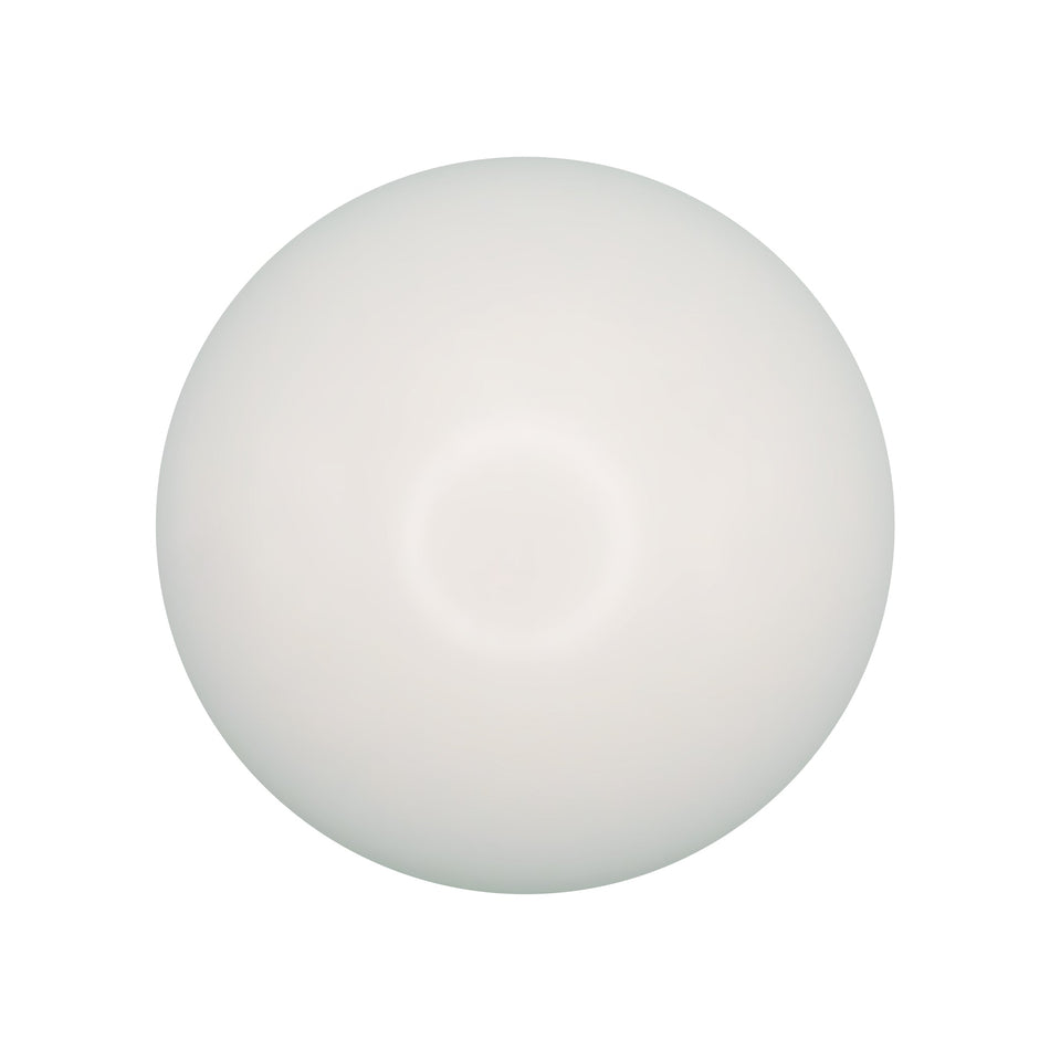 Water Leak Sensor