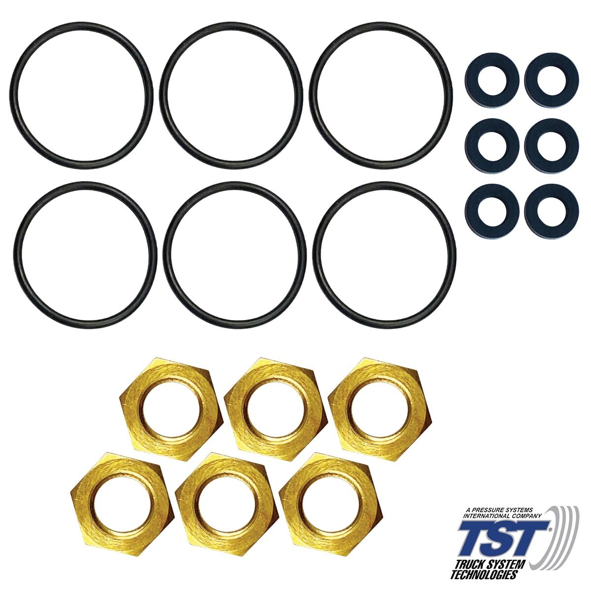 O-Ring Kit for the TST Flow Thru Sensor (3rd Generation)