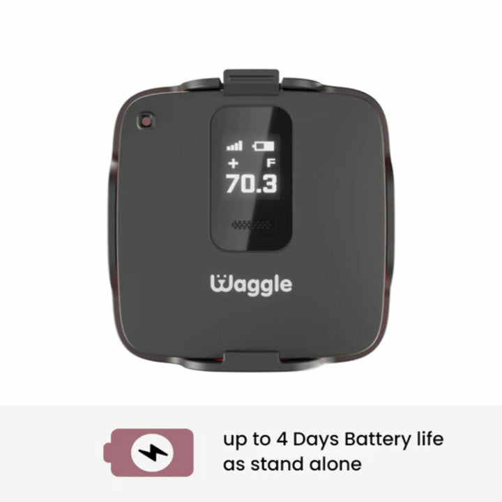 Waggle GPS Pet Monitor